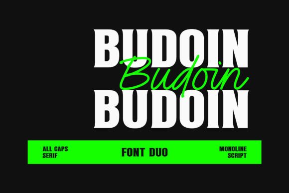 Budoin Font: Elegant & Powerful